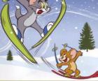 Tom ve Jerry kayaklar ile karda